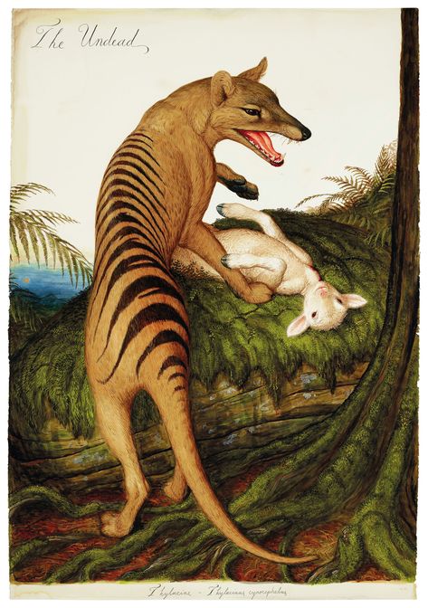 Walton Ford (b. 1960) | The Undead | 21st Century, Drawings & Watercolors | Christie's Walton Ford, Tasmanian Tiger, Paleo Art, John James Audubon, Extinct Animals, Scientific Illustration, Prehistoric Animals, Zoology, Animal Illustration