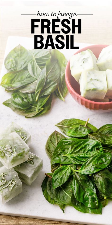 If you're a fan of using basil for pesto, soups & more, then you'll definitely want to know how to freeze basil to retain its freshness & reduce waste. How To Freeze Basil, Cantaloupe Drink, Using Basil, Strawberry Basil Margarita, Cantaloupe Recipes, Tomato Basil Chicken, Basil Recipes, Salad Spinner, Basil Chicken