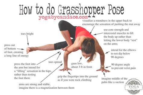 Pin now, practice later! How to do grasshopper pose. Wearing: Zella leggings, Sweaty Betty tank Grasshopper Pose, Scorpion Pose, Hata Yoga, Yoga Beginners, Yoga Posen, Bikram Yoga, Yoga Exercises, Qi Gong, Pose Yoga