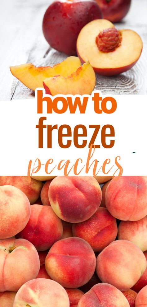 How to freeze fresh peaches! My favorite tip for preserving and freezing sliced peaches with fruit fresh. Freezer Peaches With Fruit Fresh, How To Freeze Peaches With Fruit Fresh, Freezing Peaches With Fruit Fresh, How To Freeze Peaches, Can Peaches Recipes, Canning Garden, Freezing Peaches, Preserving Vegetables, Sliced Peaches