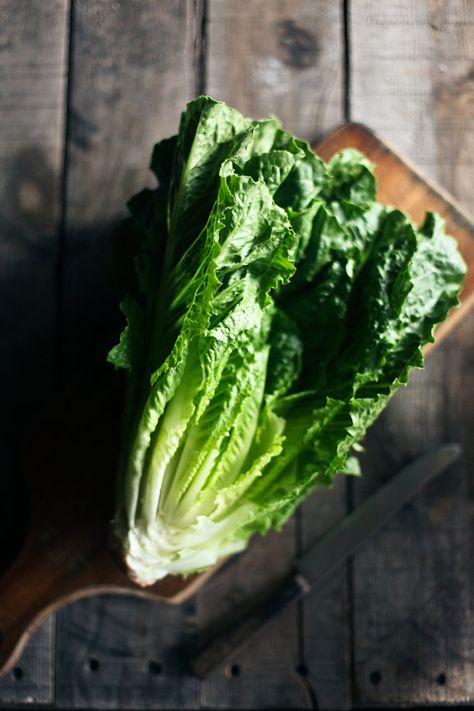 romaine lettuce Ingredients Photography, Darling Magazine, Vegetables Photography, Cooking Ingredients, Green Vegetables, Romaine Lettuce, Fresh Fruits And Vegetables, Fresh Veggies, Fruit And Veg