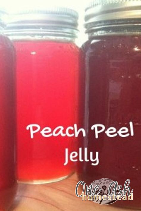 Peach Peel Jelly Peach Jelly Recipe Canning, Preserving Fruit, Canning Granny, Fruit Butters, Food Prepping, Food Canning, Canning Peaches, Peach Jelly, Canning Pickles