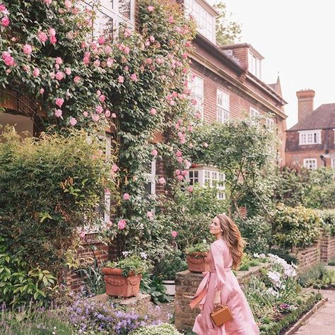 Honey, I’m home! @tberolz 🌸🌸🌸🌸🌸 #coveredinroses #london #gmgcollection #pinkroses #weekendmoments #gmgtravels #londonlife    #Regram via @juliahengel Rose Aesthetic, Julia Berolzheimer, Rosé Aesthetic, Romantic Cottage, Gal Meets Glam, English Rose, Famous Americans, Spring Aesthetic, English Roses