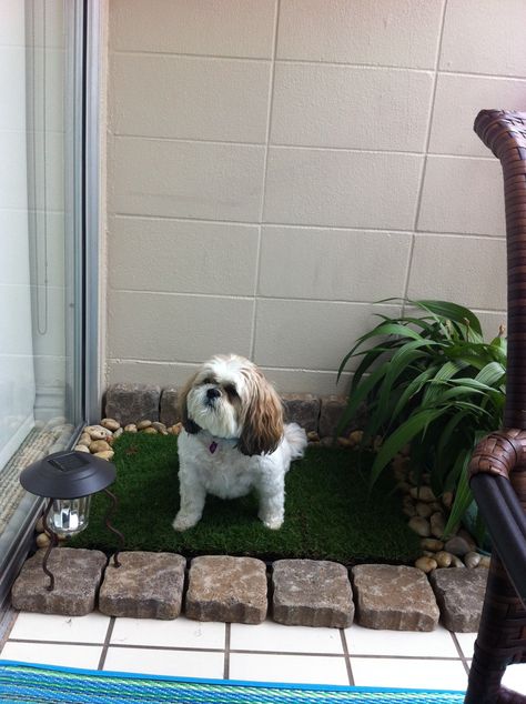 Small Dog Area In Apartment, Pet Patio Ideas, Outdoor Dog Toilet Area, Dog Areas In Apartments, Apartment Dog Potty Balconies, Apartment Patio Ideas For Dogs, Dog Area In Apartment, Dog Patio Ideas Apartment, Dog Balcony Apartment