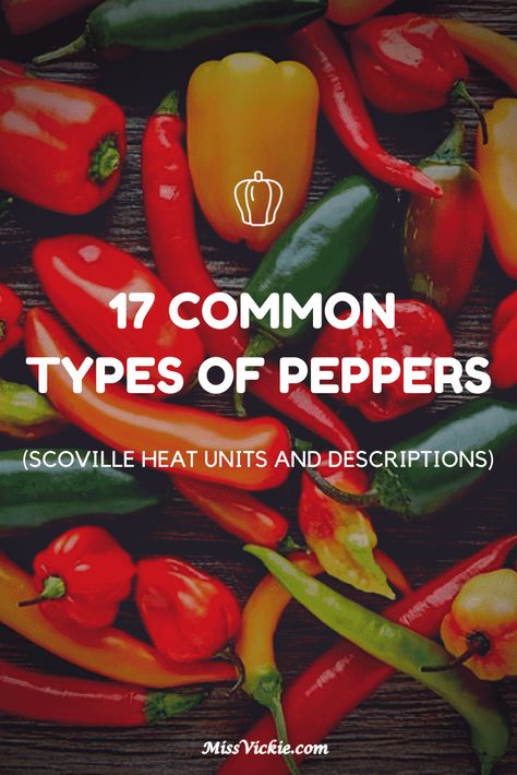 Hot Pepper Chart, Long Green Peppers, Types Of Chili Peppers, Growing Hot Pepper, Sweet Banana Peppers, Habanero Chili, Types Of Peppers, Green Chili Peppers, Pepper Spice