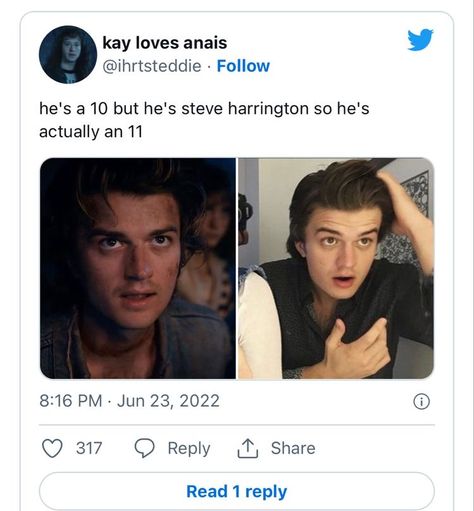 Mom Steve Harrington, Stevie Harrington, Steddie Harringrove, Steve Harrington Stranger Things, Greek Memes, Stranger Things Quote, Beautiful Joe, Stranger Danger, Stranger Things Steve