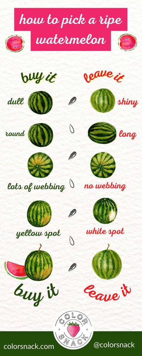 How To Pick a Ripe Watermelon Pick A Watermelon, Ripe Watermelon, Quick Watercolor, Watermelon Benefits, Illustration Infographic, Amazing Food Hacks, Magia Das Ervas, God Mad, Läcker Mat