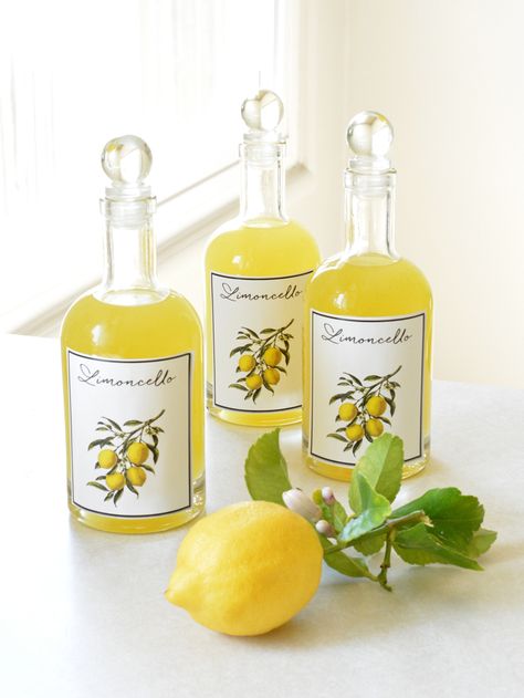 Making Limoncello Centsational Style, Glass Liquor Bottles, Making Limoncello, Limoncello Recipe, Glass Beverage Dispenser, Large Glass Jars, Summer Eats, Drink Dispenser, Lemon Tree