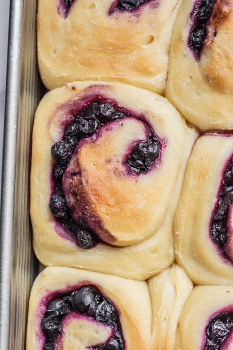 Sourdough Blueberry Rolls Sourdough Berry Rolls, Sourdough Blueberry Rolls, Blueberry Cream Cheese Frosting, Blueberry Rolls, Blueberry Sourdough, Sourdough Blueberry, Blueberry Filling, Cream Cheese Rolls, Lemon Blueberry Bread