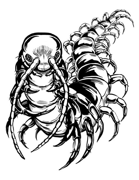 Giant centipede. Centipede Drawing Art, Giant Centipede Art, Human Centipede Tattoo, Centapeid Drawing, Centipede Sketch, Centipede Tattoo Design, Centipede Art, Centipede Drawing, Giant Centipede