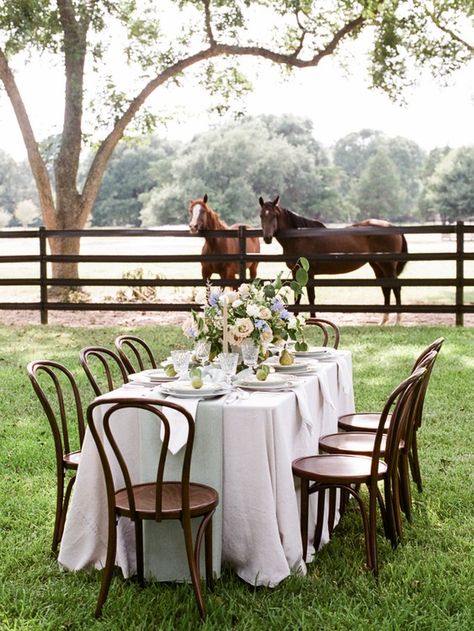 Fairy Tail Wedding, Equestrian Wedding, Horse Wedding, Modern Wedding Venue, Eventing Horses, Wedding Venue Houston, Equestrian Estate, Horse Ranch, Travel Shopping