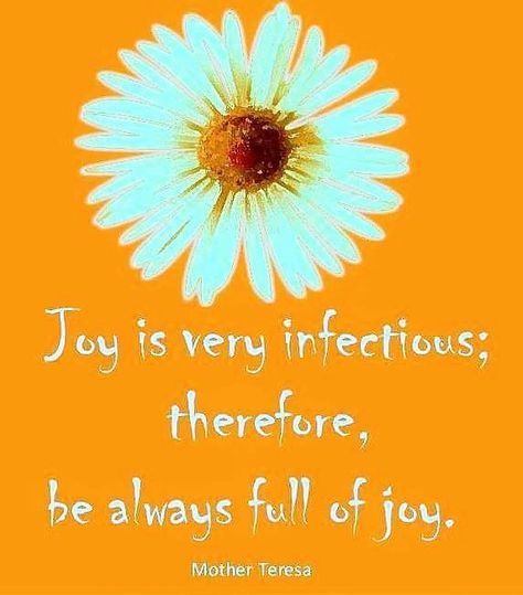 Joy! 🌻 Joy Quotes Bible, Bible Verse About Joy, Scripture About Joy, Finding Joy Quotes, This Is The True Joy In Life, Bible Verses About Joy, Choose Joy Quotes, Choose Joy Bible Verse, Evil Words