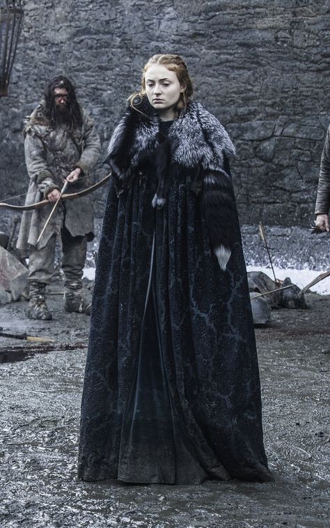 Sansa Stark Dress, Sansa Stark Costume, Game Of Thrones Dresses, Got Stark, Game Of Thrones Sansa, Game Of Thrones Costumes, Game Of Thrones Series, Got Game Of Thrones, A Dance With Dragons