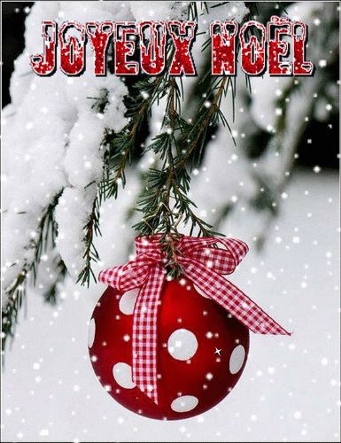 Gifs Joyeux Noel Best Merry Christmas Wishes, Christmas Card Messages, Christmas Holiday Photos, Merry Christmas Wishes, Wallpaper Iphone Christmas, Christmas Ornaments Homemade, Merry Christmas And Happy New Year, Christmas Joy, Free Christmas