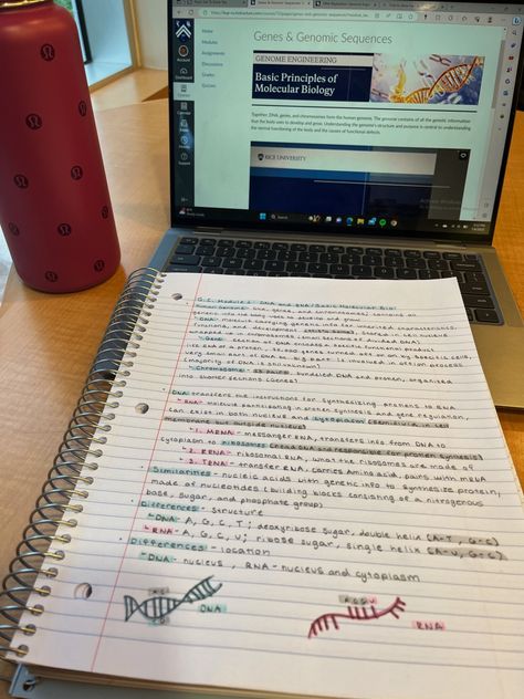 Aesthetic notes, studying, medcial notes, rice class, libaray aesthetic, academic validation, notes inspo, organized, aesthetic, school motivation, life motivation, productive motivation, lulu water bottle Biology Class Aesthetic, Rice University Aesthetic, Notes Aesthetic Biology, Lulu Water Bottle, Aesthetic Notes Inspo, Aesthetic School Motivation, Aesthetic Biology, Productive Motivation, Organized Aesthetic