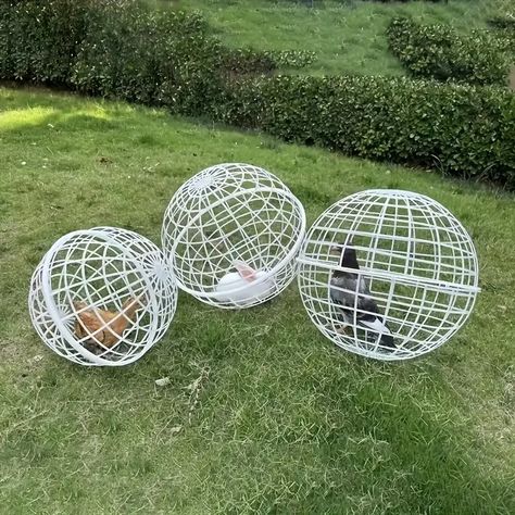 Rolling Plastic Round Chicken Cage, Spherical Rabbit Cage, Small Animals Round Cage, Net Red Walk Creative Chicken Cage - Temu Rabbit Playpen, Pigeon Cage, Chicken Accessories, Free Range Chicken, Backyard Chicken Farming, Chicken Cages, Rabbit Cage, Small Animal Cage, Chicken Diy