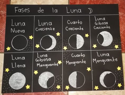 Fases de la luna pintada con tempera School Science Projects, Second Grade Science, Moon Projects, Origami Art, Bible Lessons, Science Projects, Science Activities, Solar System, Activities For Kids