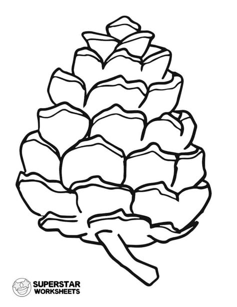 Did you know that pine cones play a huge role in nature? Our Parts of a Pine Cone worksheets are the perfect way to introduce their special features. Plus, we give you some fun facts for kids! #superstarworksheets #partsofapinecone #scienceworksheets #pineconefacts #freepartsofapineconeprintable Pine Cone Drawing, Cone Template, Outline Drawings, Hand Embroidery Stitches, Pine Cone, Drawing Techniques, Christmas Art, Pine Cones, Doodle Art