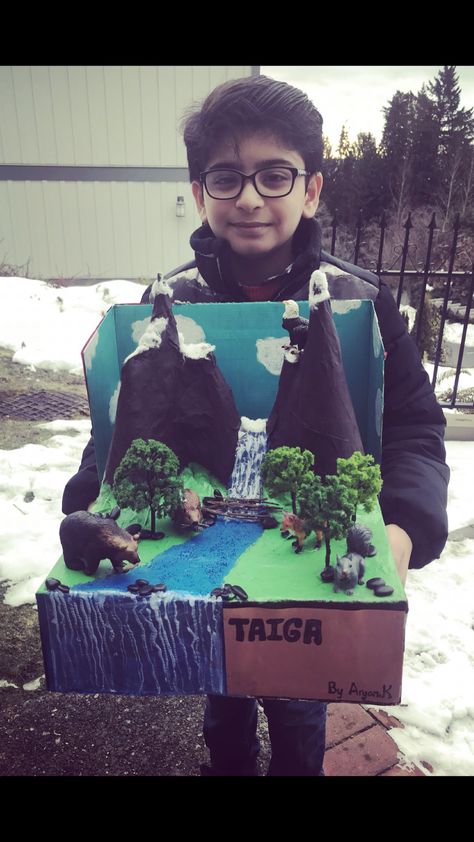 Taiga/Boreal Biome Diaroma Taiga Biome Diorama, Mountain Diaroma, Mountain Biome Project, Crafts From Greenland, Taiga Biome Project, Taiga Diorama, Biome Project Ideas, Ecosystems Diorama, Taiga Biome