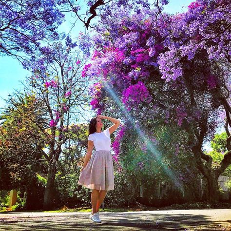 Jacaranda Tree Photoshoot, Jacaranda Photoshoot, Camera Knowledge, Princess Garden, Jacaranda Tree, Purple Tree, Tree Pose, Purple Trees, Posing Guide