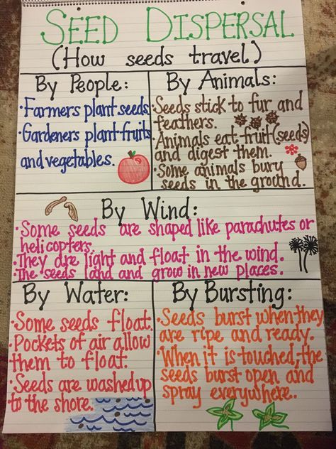 Seed Dispersal Anchor Chart Seed Science, Grade 3 Science, Science Anchor Charts, Second Grade Science, Seed Dispersal, Plants Unit, Classroom Charts, Classroom Anchor Charts, First Grade Science