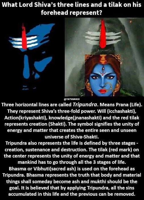 What Is Shiva, Hinduism History, Kundalini Meditation, Indian Philosophy, Shiv Shakti, Indian History Facts, Sacred Geometry Art, Vedic Mantras, Consciousness Art