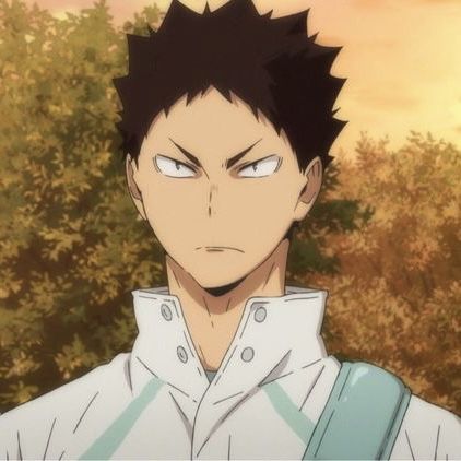 Haikyuu Iwaizumi, Iwaizumi Hajime, An Anime, Wattpad, Hair, Anime