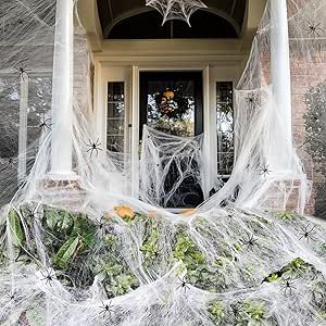 Spider Webs Halloween, Abandoned Cabin, Spider Web Halloween Decorations, Perfect Halloween Party, Fake Spider, Halloween Photo Booth, Spider Web Decoration, White Spider, Halloween Yard Decorations