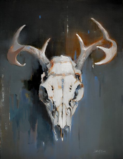 Scott Ewen / Deer Skull Still Life / 18 x 24 / oil on canvas    http://wwww.scottewen.net Animal Skull Painting, Skull Painting Ideas, Animal Skull Drawing, Painted Deer Skulls, Bull Artwork, Deer Skull Art, Animal Skull, Oil Art, Deer Skull