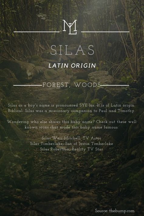 Character Names: Silas Latin origin meaning "Forest, Woods" Fantasy Names, Aesthetic Names, Pretty Names, Name Inspiration, Writing Characters, Baby Names And Meanings, Rare Words, Unique Baby Names, Book Names