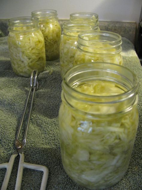 hot packed sauerkraut Canning Sauerkraut, Canned Pickled Beets, Water Bath Cooking, Making Sauerkraut, Homemade Sauerkraut, Canning Pickles, Home Canning Recipes, Canning Vegetables, Canning Tips