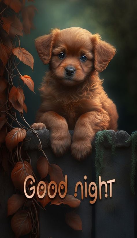 Goodnight Wallpaper, Goodnight Prayers, Good Night Meme, God Night, Beautiful Good Night Messages, Goodnight Images, Good Night Blessings Quotes, Dog Expressions, Beautiful Good Night Quotes