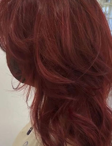 Garnet Red Hair, Clinically Insane, Dyed Hair Inspiration, Hair Tips Video, Garnet Red, Hairstyle Inspo, Red Hair Color, Cool Hair, Cool Hair Color