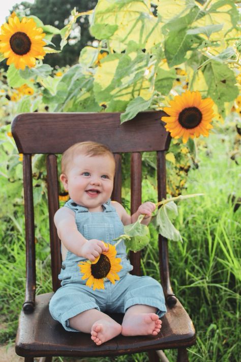 Sunflower Milestone Pictures, Sunflower Field Baby Photoshoot, Baby Sunflower Photoshoot, Sunflower Mini Session, Sunflower Photos, Sunflower Field Photography, Sunflower Field Pictures, Sunflower Festival, Sunflower Photoshoot