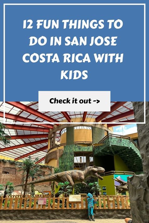 12 Fun Things To Do in San Jose Costa Rica with Kids - Bring The Kids Costa Rica Animals, Costa Rico, Costa Rica With Kids, Hotel San Jose, Costa Rica Adventures, Animal Rescue Center, San Jose Costa Rica, Flying With Kids, Family Destinations