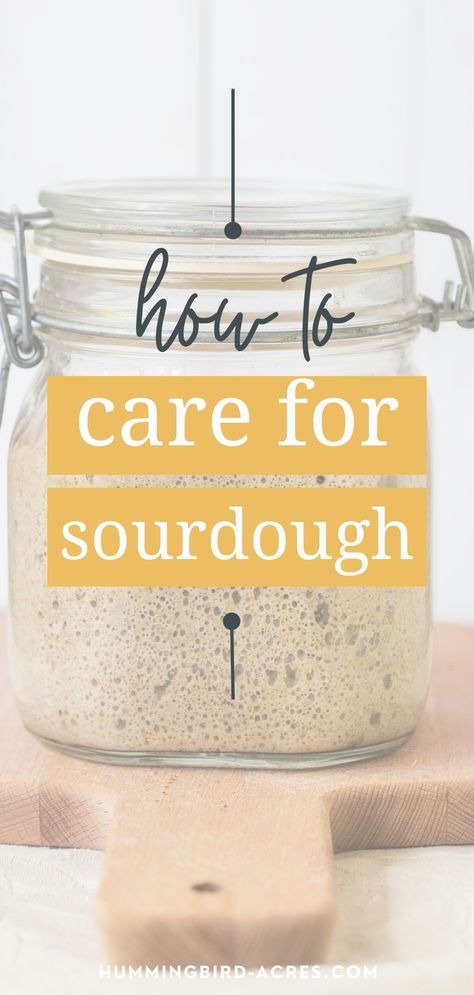 Sourdough Beginner Guide, Sourdough Starter Instructions, Making Sourdough Bread With Starter, How To Care For Sourdough Starter, Strengthen Sourdough Starter, Feeding Your Sourdough Starter, Maintaining Sourdough Starter, Sourdough Starter Guide, How To Maintain Sourdough Starter