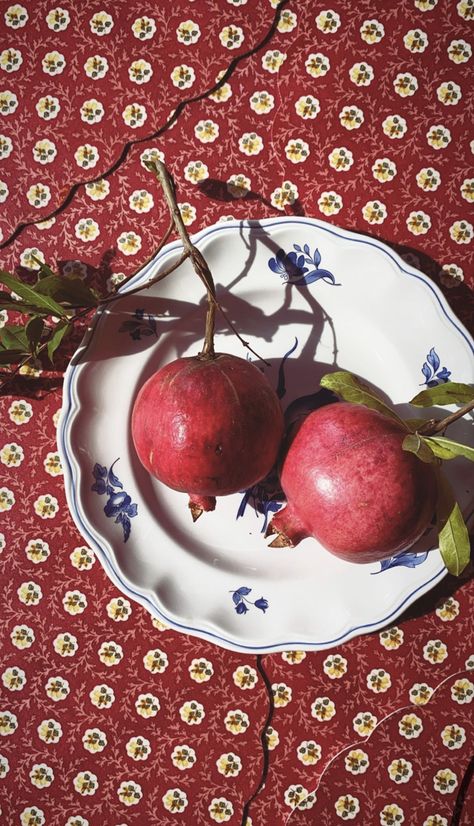 Pomegranate Art, Art Still Life, Art Pretty, Work Images, Still Life Photos, Red Pomegranate, Juicy Fruit, Still Life Art, Foto Inspiration