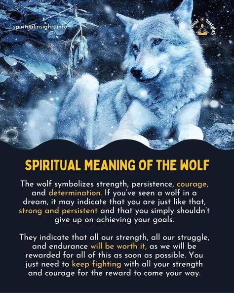 Wolf Symbolism Meaning, Wolf Spirit Guide, Spiritual Wolf Tattoo, Wolf Magic Begin Now, Element Animals, Wolf Wisdom, Wolf Meaning, Animal Mythology, Wolf Symbolism