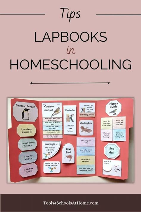 Lapbooks have been a popular tool in homeschooling for many years. They enhance lessons and help children retain information in a fun and interactive way. Free Lapbooks Printables, Lapbooks Free, Homeschool Lapbooks, Interactive Lapbooks, Retain Information, Lapbook Ideas, Science Unit Studies, Lap Books, Auditory Learners