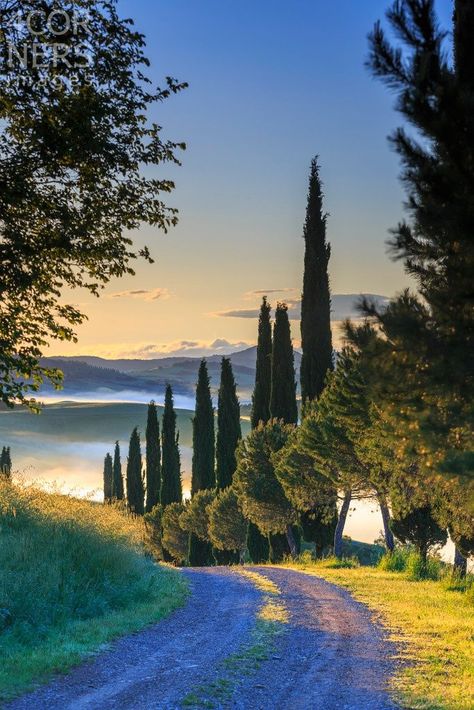 Tuscany Landscape, Tuscan Landscaping, Toscana Italy, Toscana Italia, Under The Tuscan Sun, Dirt Road, Tuscany Italy, Albania, Places Around The World