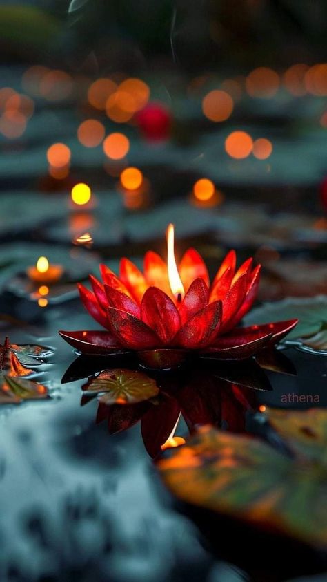 Iphone Wallpaper Candle, Bokeh Aesthetic, Velas Aesthetic, Deepavali Wishes, Budha Art, Diwali Wallpaper, Good Night Beautiful, Moonlight Photography, Relaxing Candles