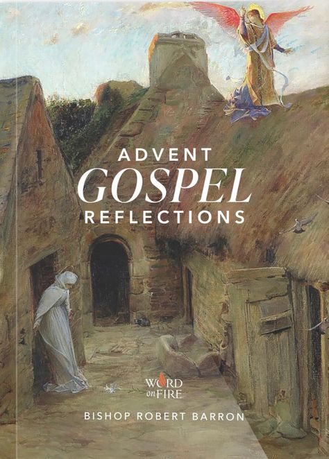 Bishop Barron's Advent Gospel Reflections (2024) Fire Bible, Bishop Barron, Daily Gospel, Gospel Reading, Four Gospels, Sacred Scripture, Group Study, Jesus Stories, Reflection Questions