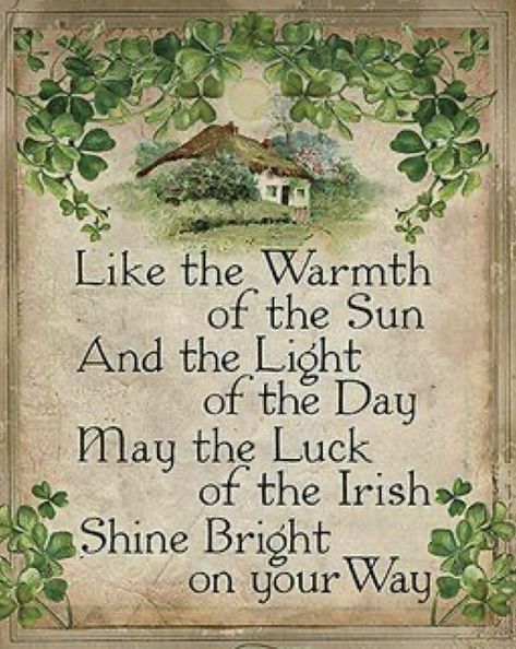 Traditional Irish Recipes, Irish Blessing Quotes, Irish Toasts, St Patricks Day Quotes, St Patricks Day Cards, St Patricks Crafts, Irish Proverbs, Irish Eyes Are Smiling, Irish Quotes