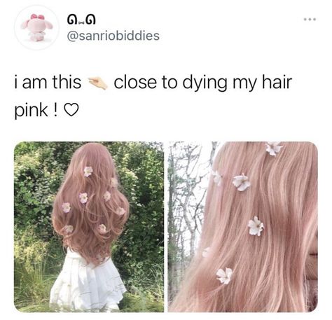 Kawaii Hair Dye Ideas, Kawaii Hair Color Ideas, 1c Hair, Aesthetic Hair Color, 100 Affirmations, Glow Up Guide, Aliexpress Finds, K Pop Idol, Animal Fun