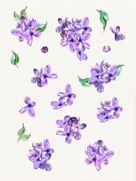 Easter Cards Diy, Purple Lilac Flower, Lavender Invitation, Lilac Wedding Invitations, Diy Easter Cards, Lilac Tattoo, Tropical Clipart, Lilac Blossom, Watercolor Spring