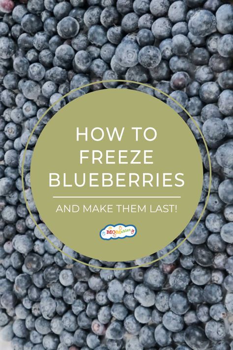 Learn how to prep and freeze blueberries so you can enjoy them in your favorite recipes year-round! How To Freeze Blueberries, Freeze Blueberries, Fresh Fruit Salad, Salad Spinner, Freezer Burn, Frozen Meals, Frozen Blueberries, Nutritional Value, Fresh Berries