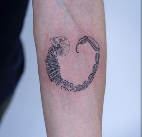 Oozy Tattoo, South Korean Tattoo, Scorpion Tail, Korean Tattoo, Korean Tattoo Artist, Korean Tattoos, Blackwork Tattoos, Scorpion Tattoo, Geniale Tattoos