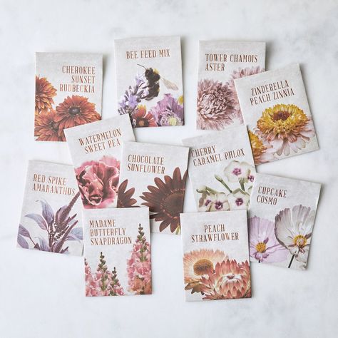 The Floral Society Flower Arranging Seed Starter Set #dwellshop #homegarden #gardeningsupplies #moderngardensandlandscaping #gardening Flower Seed Gifts, Grow Garlic, Red Sunflowers, Seed Kit, Seed Packaging, Seed Starter, Survival Gardening, Types Of Fruit, Publication Design