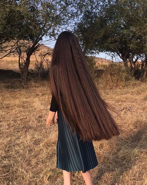 Knee length hair Woman With Long Hair, Long Shiny Hair, Extremely Long Hair, Rapunzel Hair, Long Hair Pictures, Really Long Hair, Lustrous Hair, Pinterest Hair, Long Brown Hair