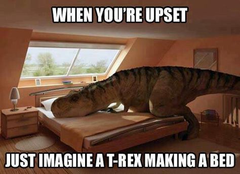 T-Rex changing sheets Humour Geek, Space Ghost, A Dinosaur, Totally Me, Have A Laugh, E Card, Laughing So Hard, How To Make Bed, Tgif